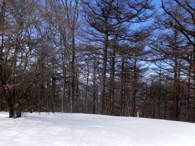 黍殻山頂より、富士山の方向を望む