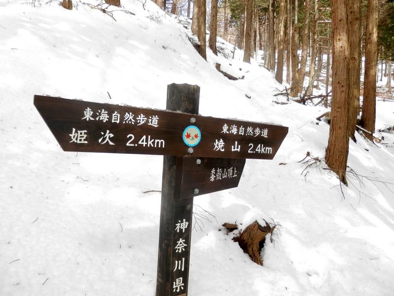 東海自然歩道に復帰する