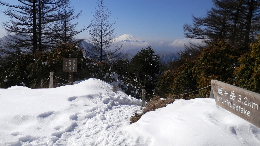 蛭ヶ岳へは、こちらから
