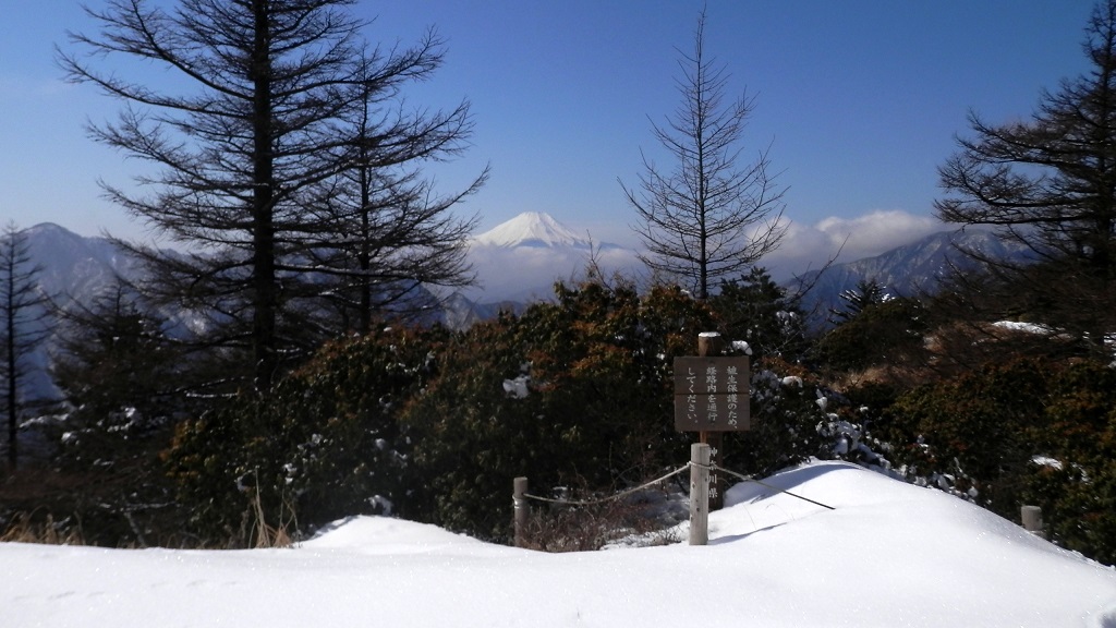 姫次の人気の構図は、このあたりかな？