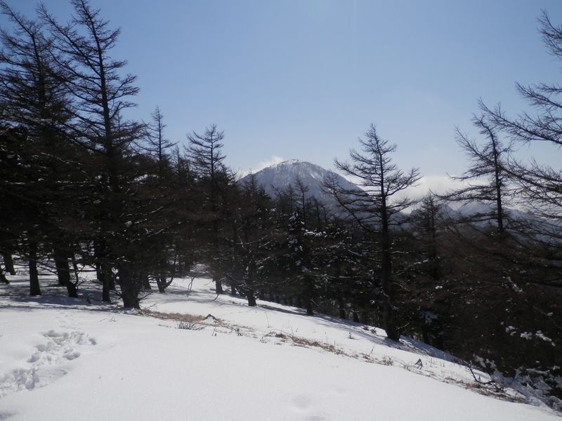 姫次より、蛭ヶ岳を望む