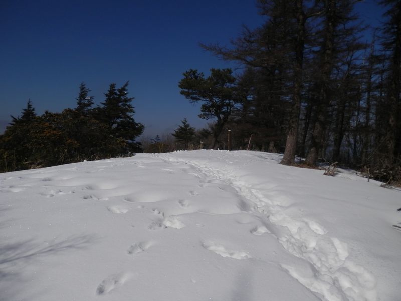 袖平山頂に到着