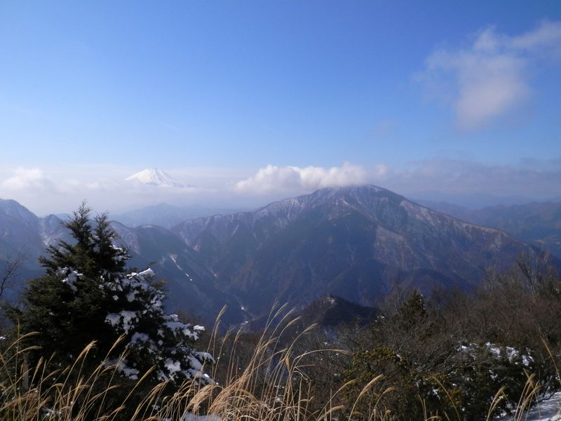 袖平山より、大室山を望む