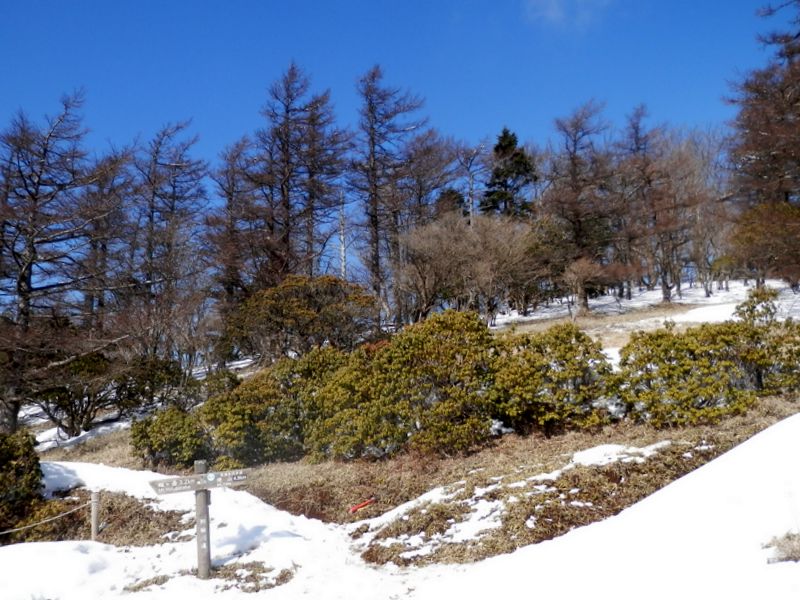 姫次に戻って来た