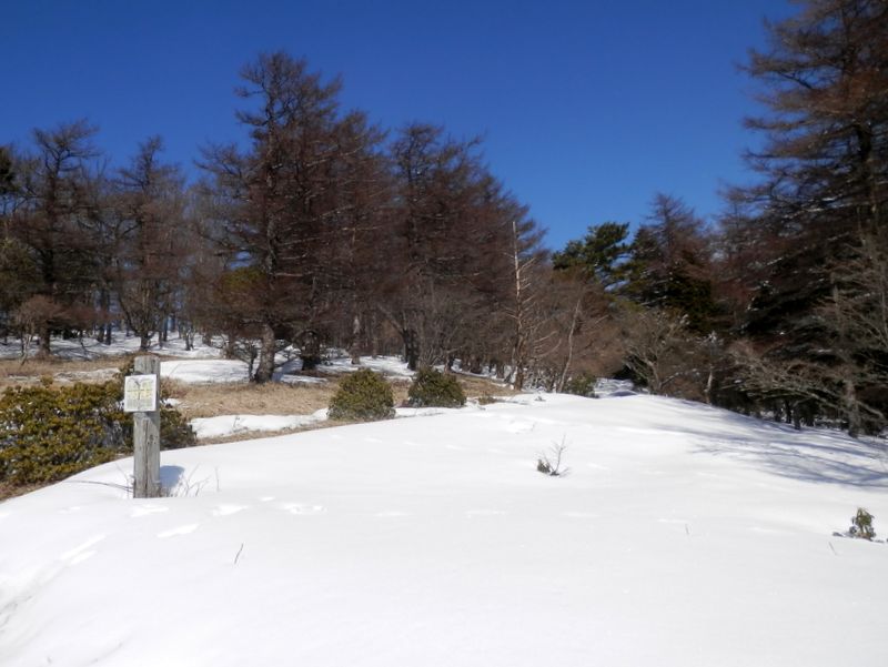 きょうの日はさようなら