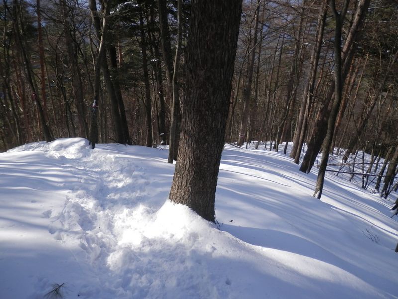 気持ちのよい雪の尾根下り