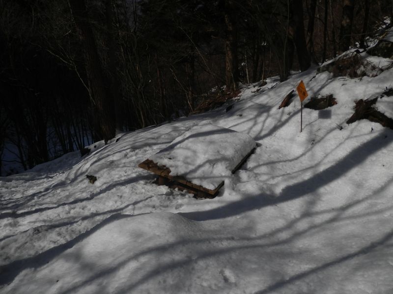 保安林の標識の立つベンチで、お茶休憩