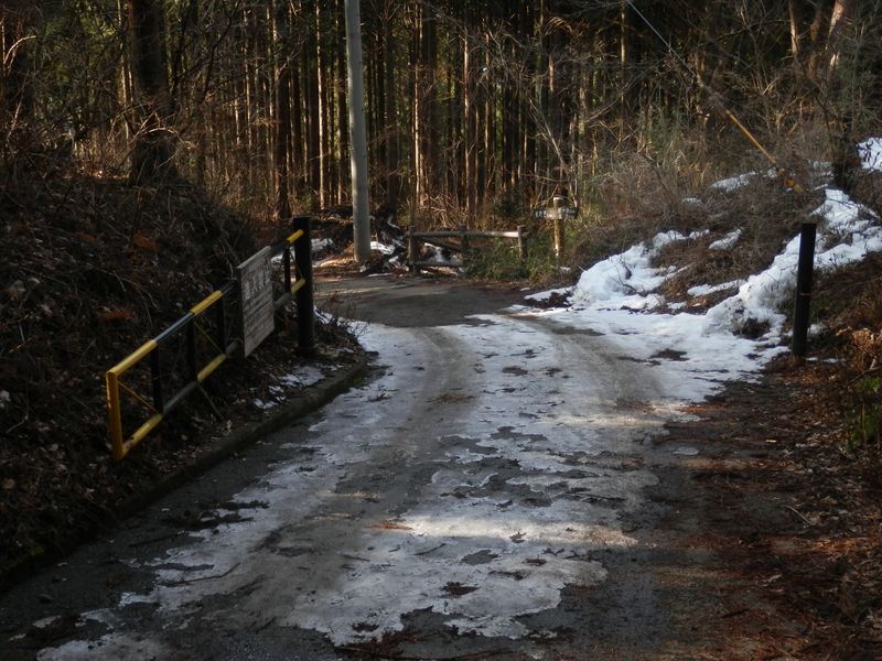 林道のゲートが開いていた