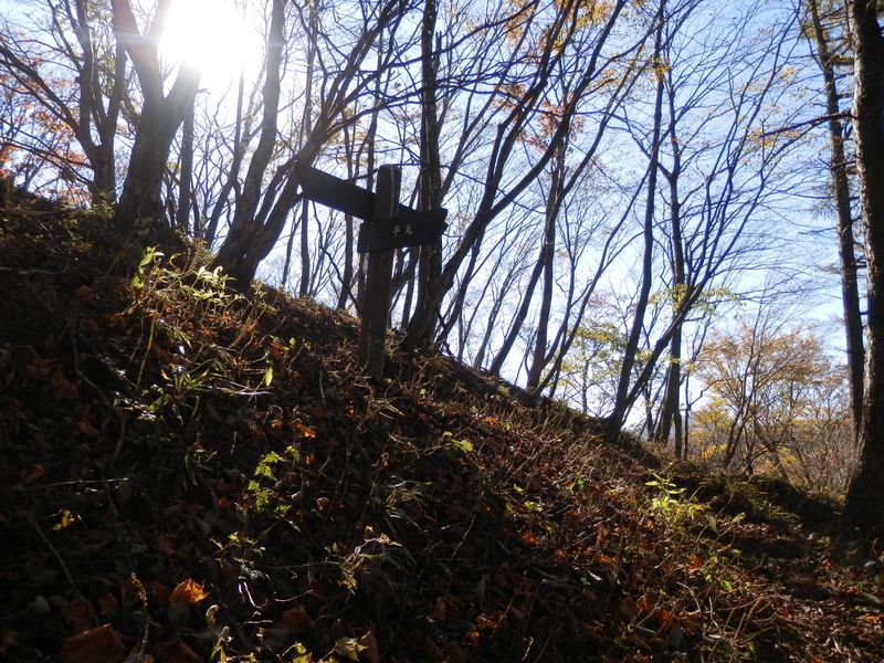 主脈縦走路がすぐそこに