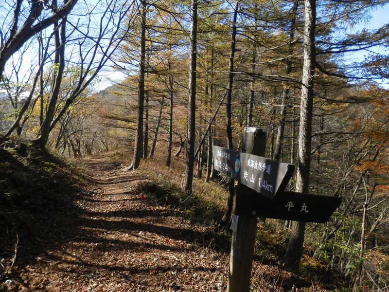 こちらの黍殻山方面に進む<