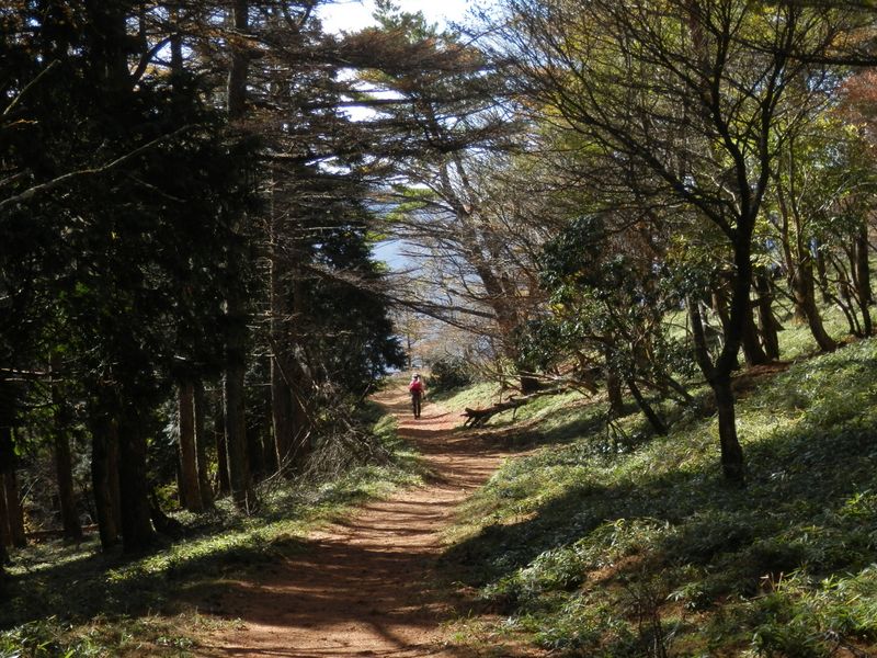 pb045628.jpg (large)