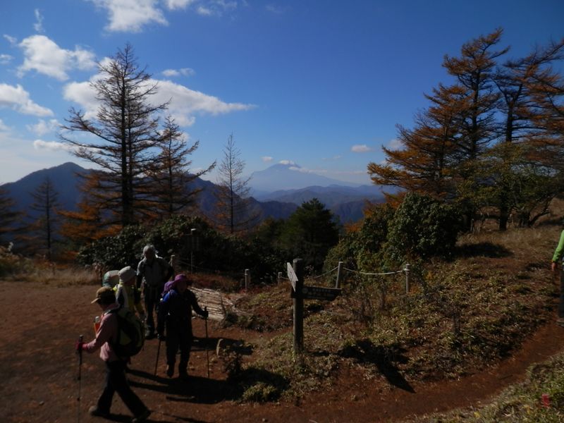 蛭ヶ岳方面から大パーティーがやって来て