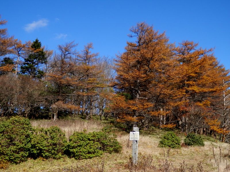 姫次東方の紅葉もきれい