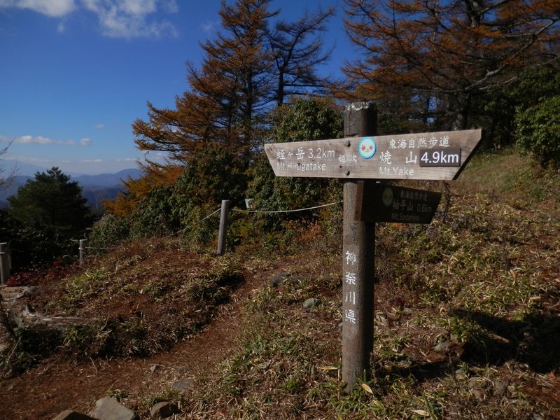 袖平山に向かう