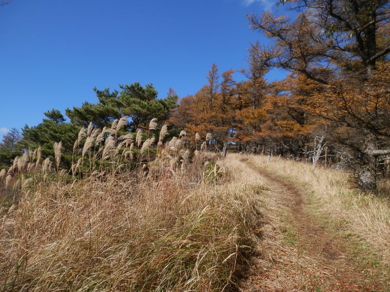 まもなく袖平山頂