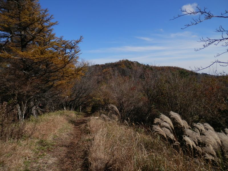 袖平山から姫次に戻る道