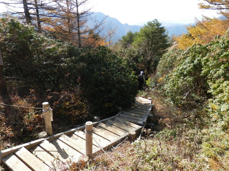 姫次から蛭ヶ岳に向かう人