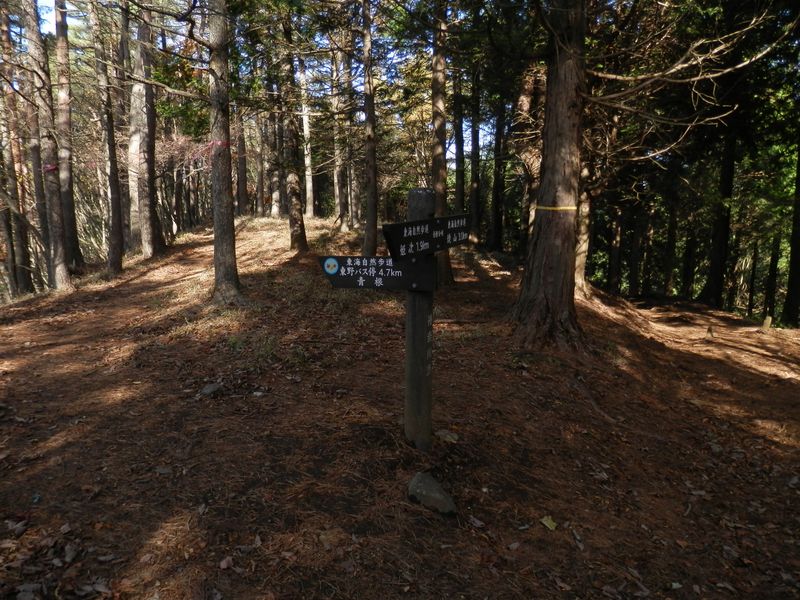 青根分岐から下山する