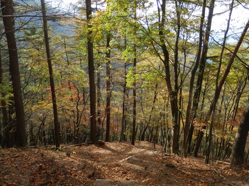 何てきれいな道なんだ！