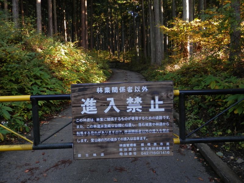 このゲートの手前に駐車5台程度のスペース