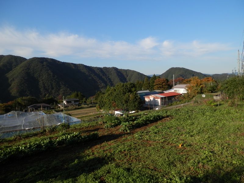 人里に帰ってきた