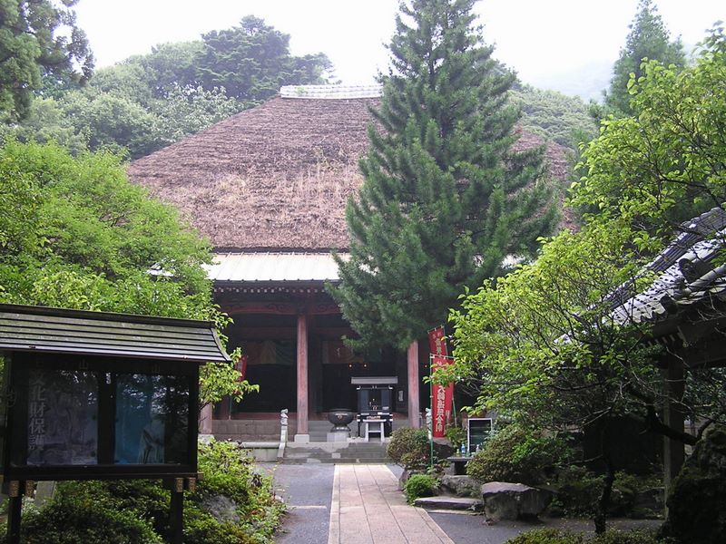 p9150199.jpg (large)