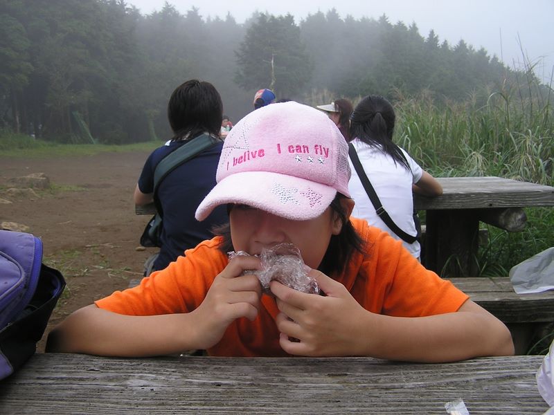 日向薬師 -- 大山の見晴台