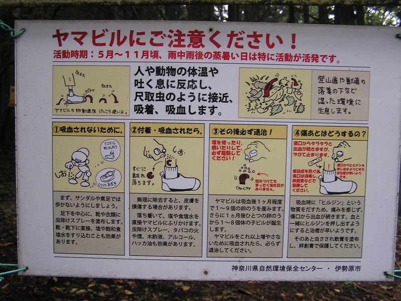 日向薬師 -- 山ビルへの注意