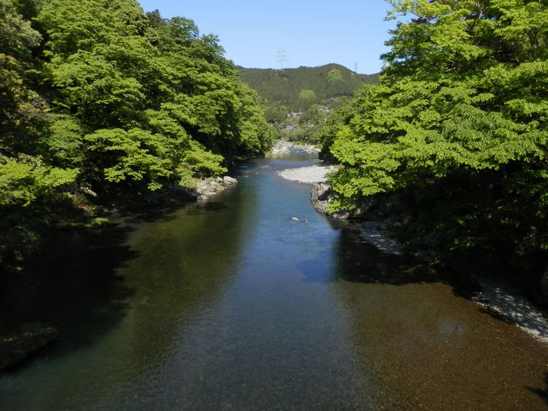 楓橋より、多摩川上流を望む。
