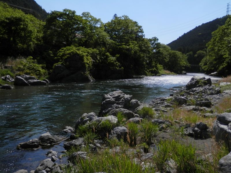 御岳渓谷遊歩道より、河原に下りてみた。