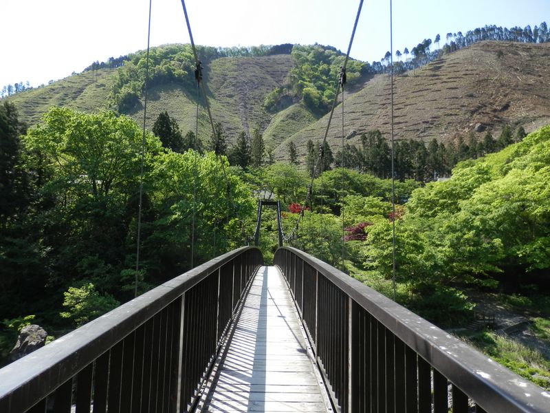 杣の小橋を渡って右岸へ