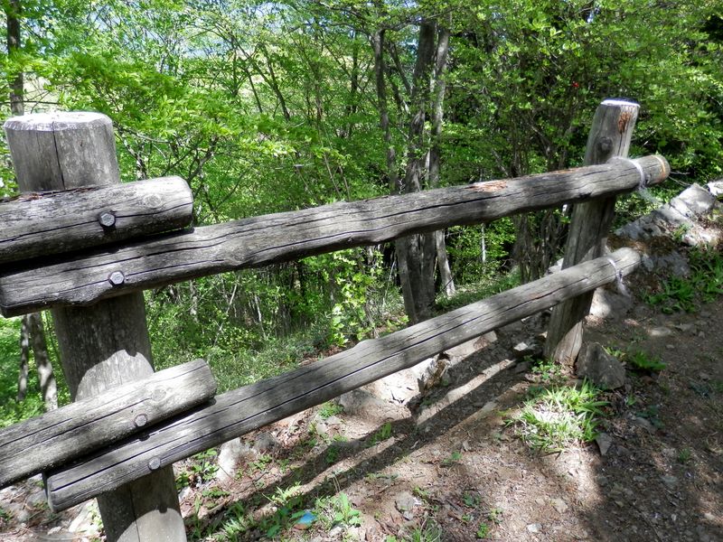 日の出山 -- 北尾根終点