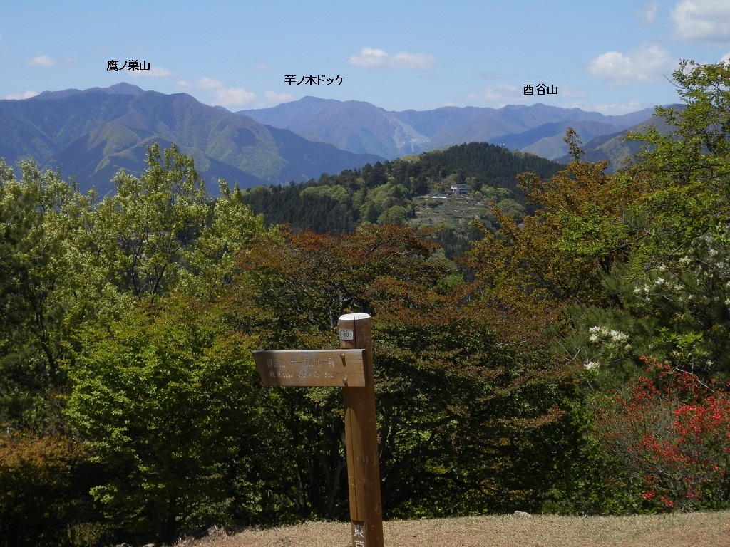 鷹ノ巣山（左）、長沢背稜と酉谷山（右奥の最高峰）