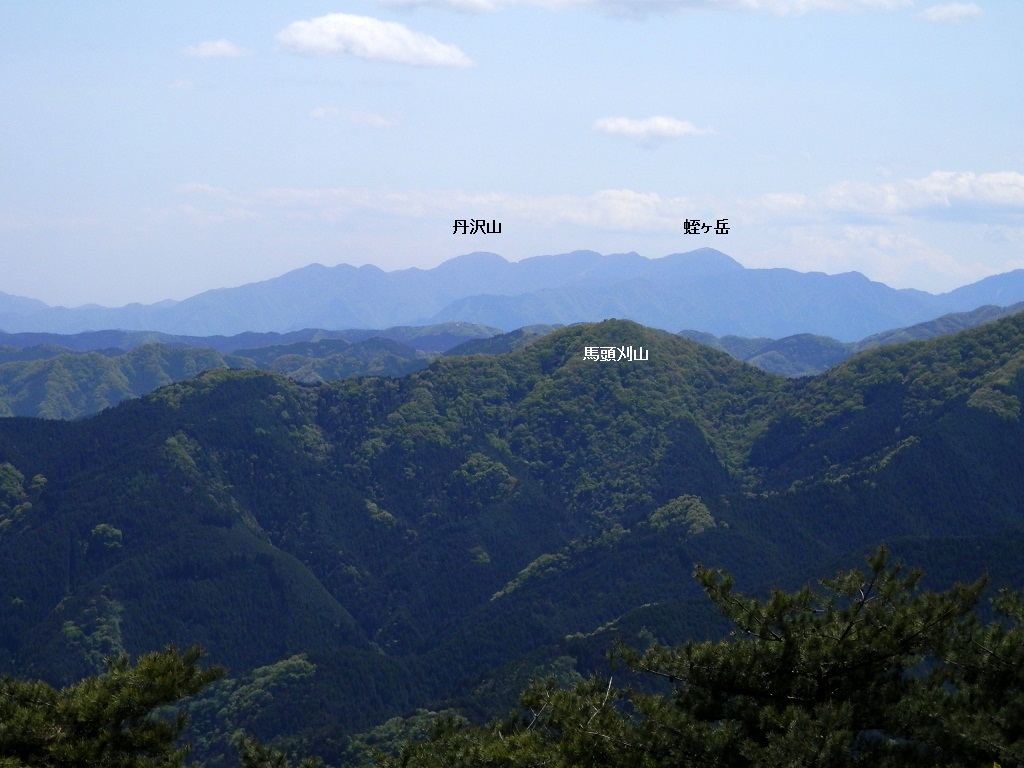 馬頭刈山（手前中央）と丹沢山塊（遠方）