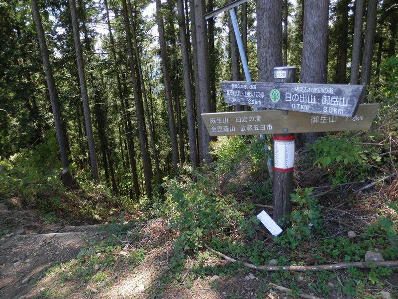 日の出山 -- 養沢方面への道を右に分ける