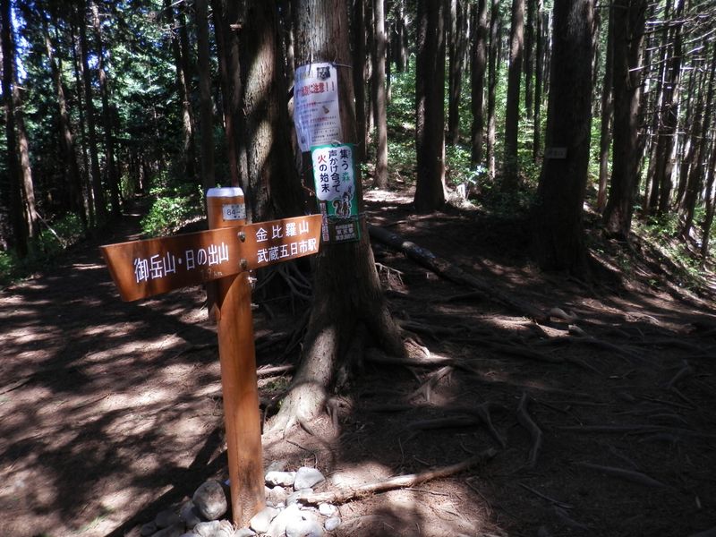 麻生山へは、真正面に進む