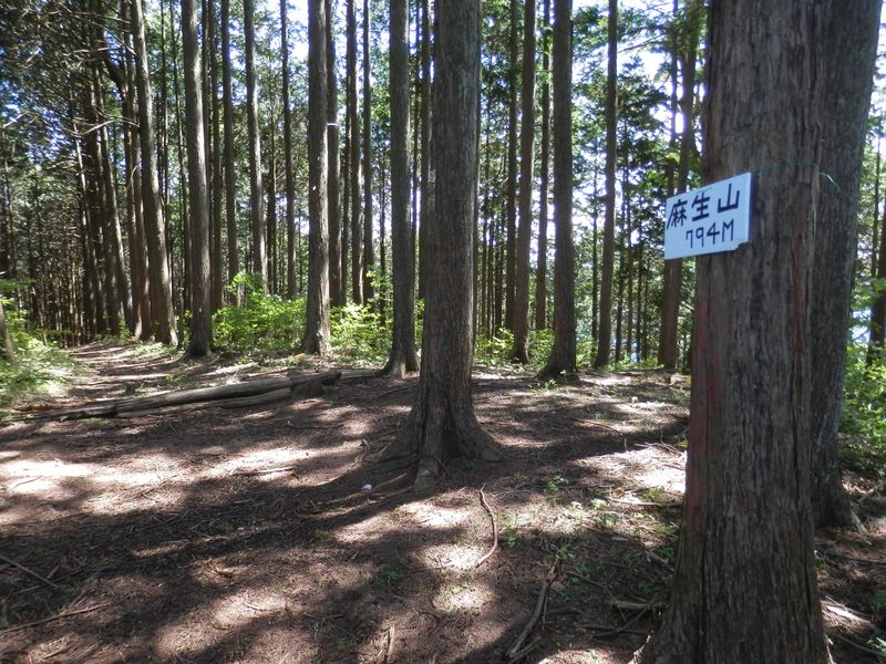 麻生山頂は、ほとんど展望なし