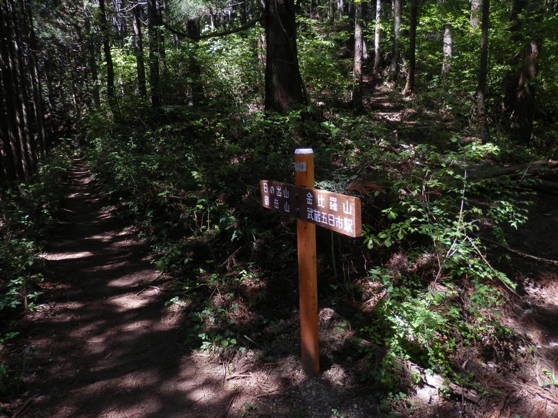 麻生山から下りてくる道