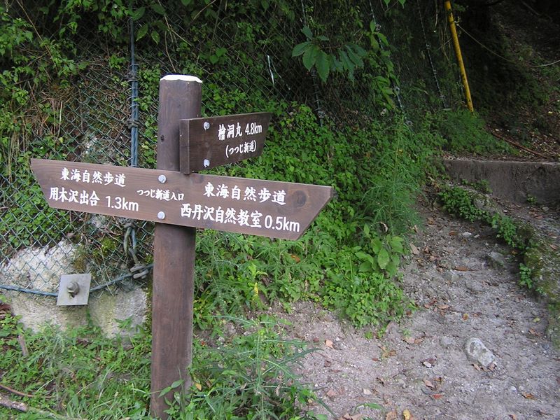 檜洞丸 -- つつじ新道入口