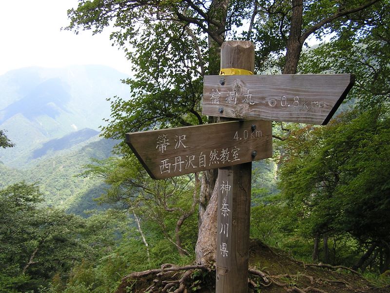 檜洞丸 -- 檜洞丸まであと0.8km