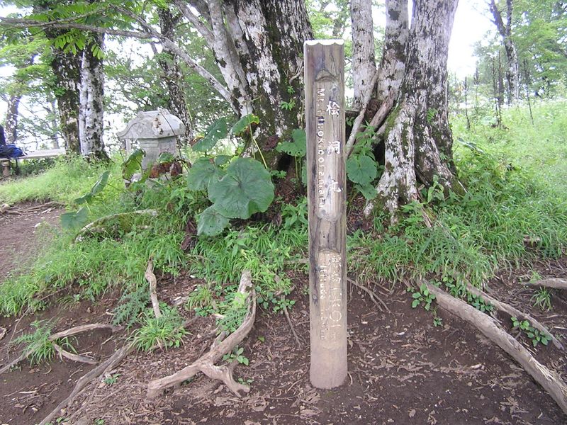 檜洞丸山頂に到着