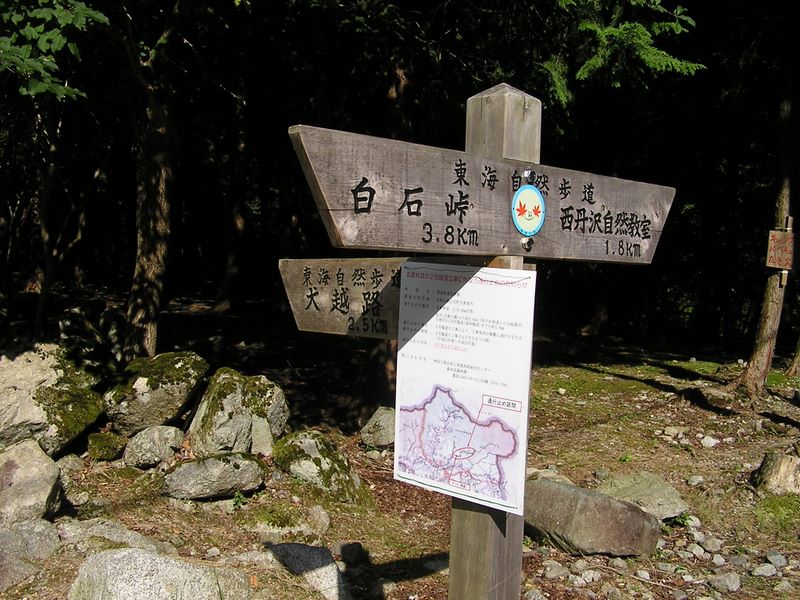 檜洞丸 -- 用木沢出合に到着