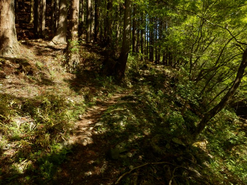 寄沢沿いの登山道