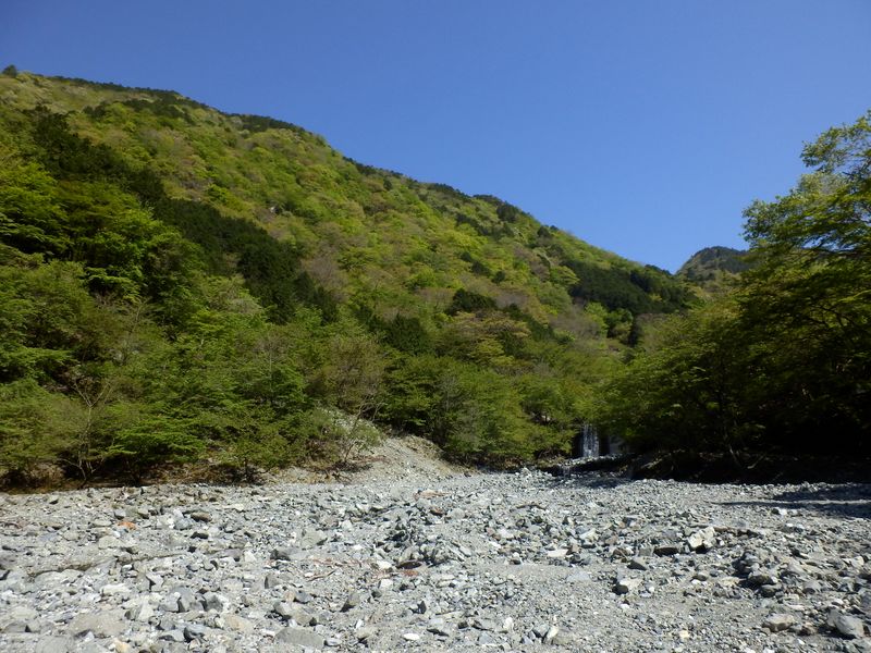 緑のパッチワークと青空