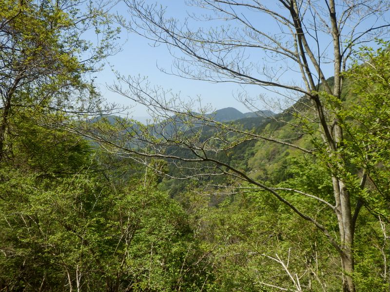 シダンゴ山かな？