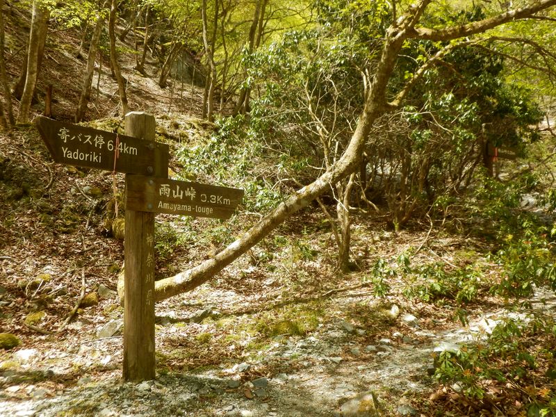 雨山峠へあと0.3km