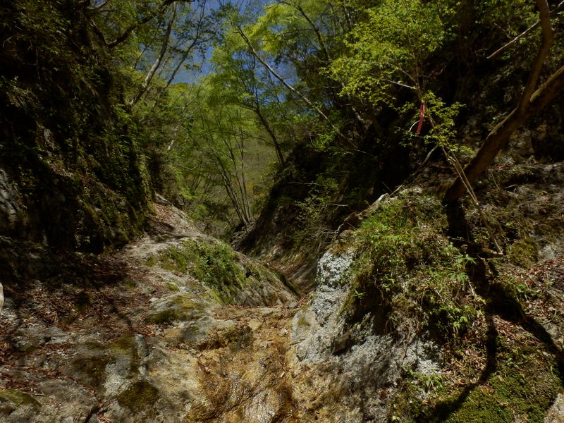 左の白い部分が登山道