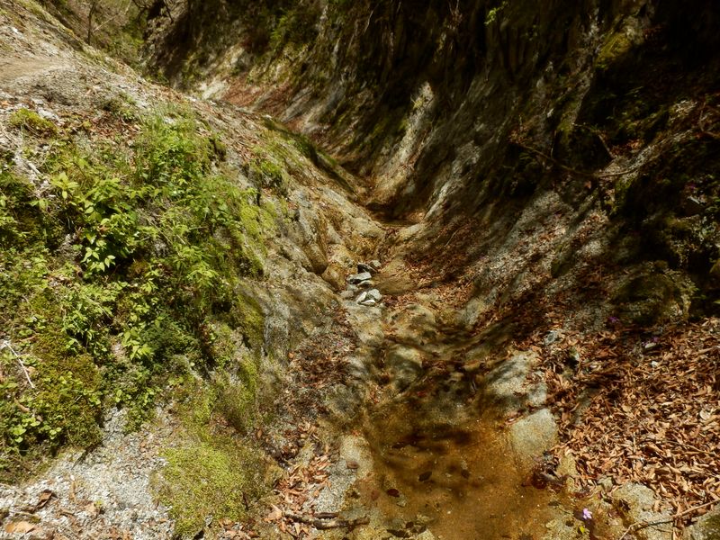 水はごくわずか