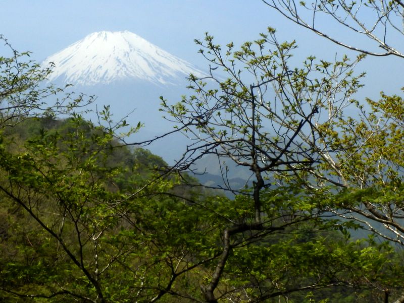 空中に浮かぶ富士山