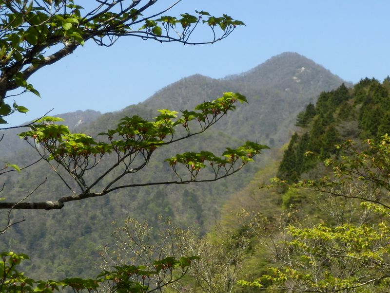 あれは同角ノ頭ではないか